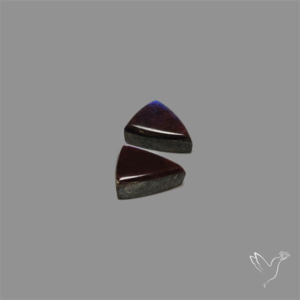 Ammolite Pair Rare Purple