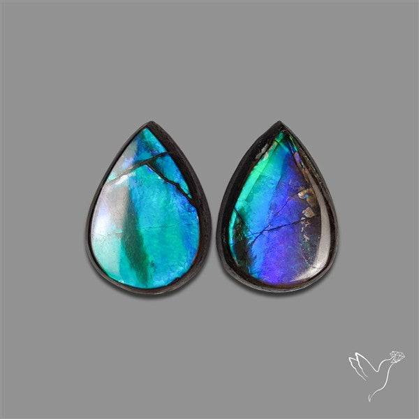 Ammolite Pair Rare Purple