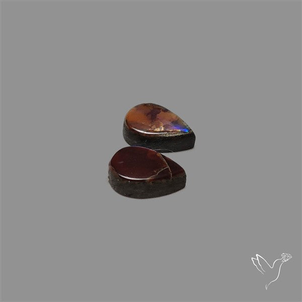 Ammolite Pair Rare Purple