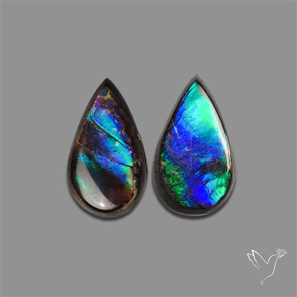 Ammolite Pair Rare Purple