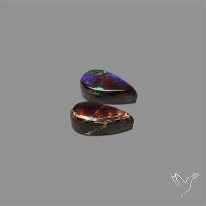 Ammolite Pair Rare Purple
