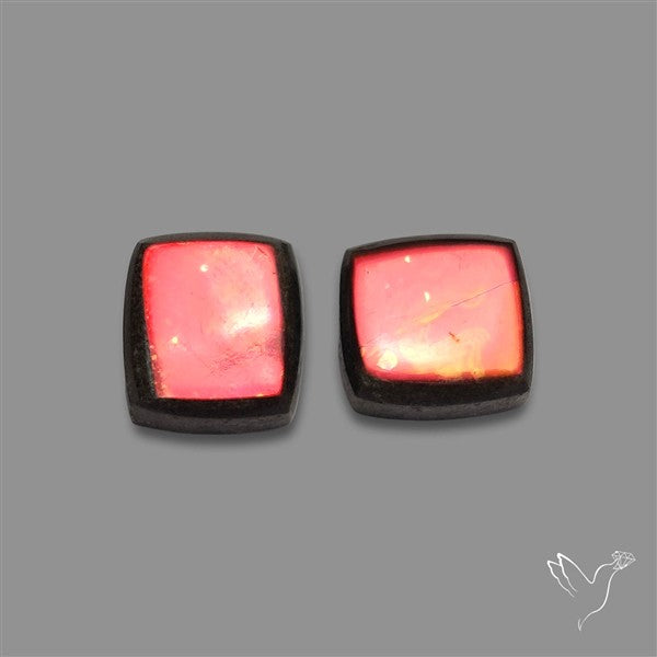 Ammolite Pair