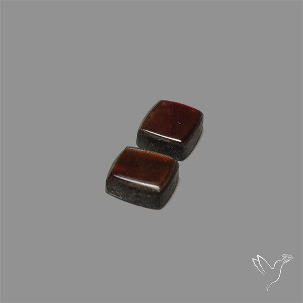 Ammolite Pair