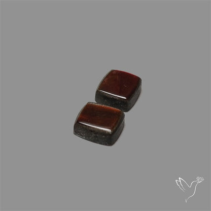Ammolite Pair