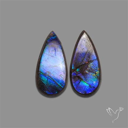Ammolite Pair Rare Purple