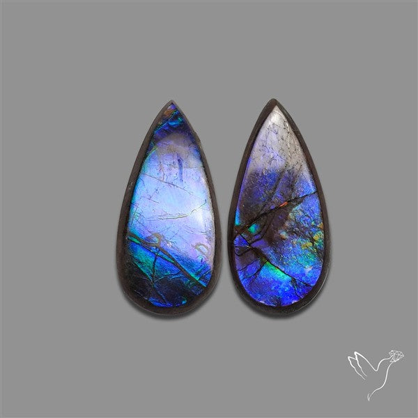 Ammolite Pair Rare Purple