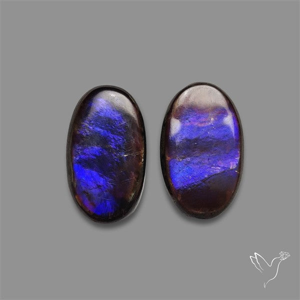 Ammolite Pair Rare Purple