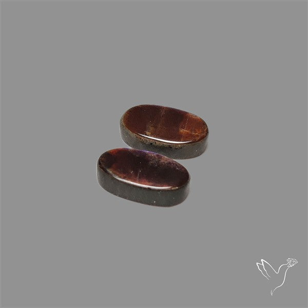 Ammolite Pair Rare Purple