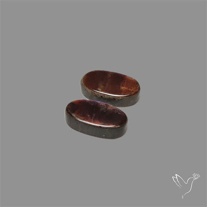 Ammolite Pair Rare Purple