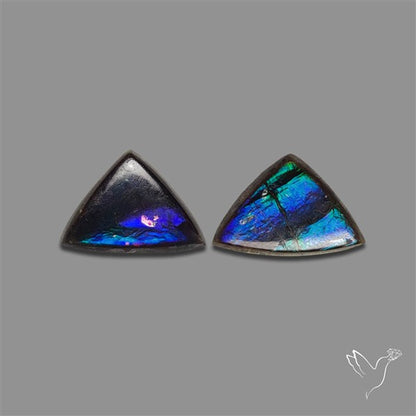 Ammolite Pair Rare Purple