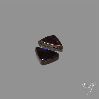 Ammolite Pair Rare Purple