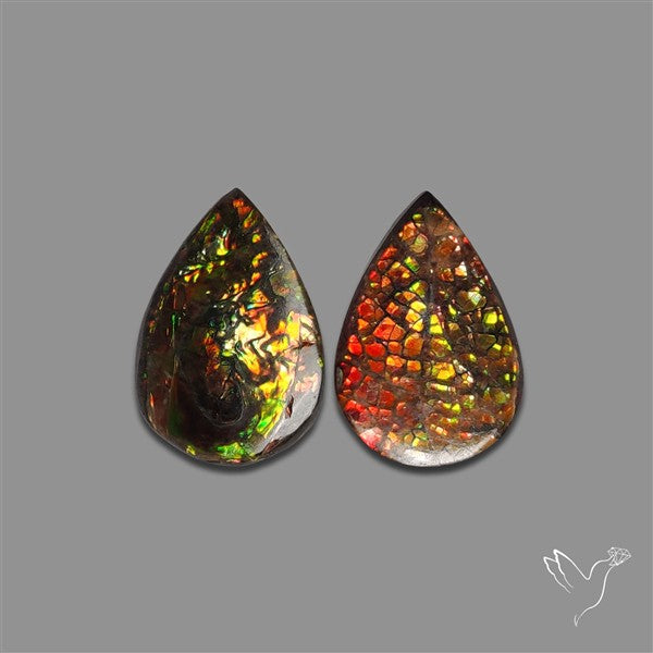 Ammolite Pair