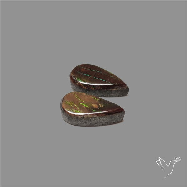 Ammolite Pair