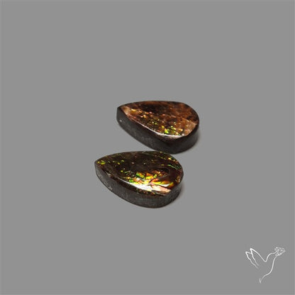 Ammolite Pair