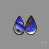 Ammolite Pair Rare Purple