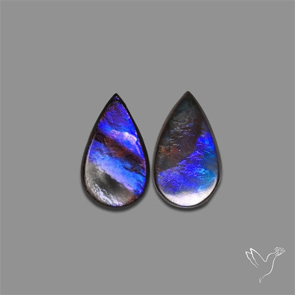 Ammolite Pair Rare Purple