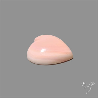 Pink Conch Shell Heart Cabochon