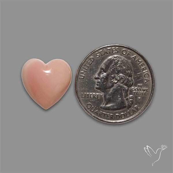 Pink Conch Shell Heart Cabochon