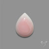 Pink Conch Shell Cabochon