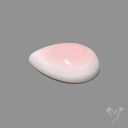 Pink Conch Shell Cabochon