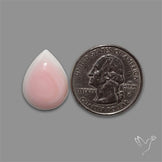 Pink Conch Shell Cabochon