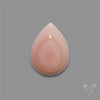 Pink Conch Shell Cabochon