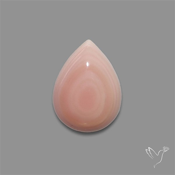 Pink Conch Shell Cabochon