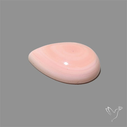 Pink Conch Shell Cabochon