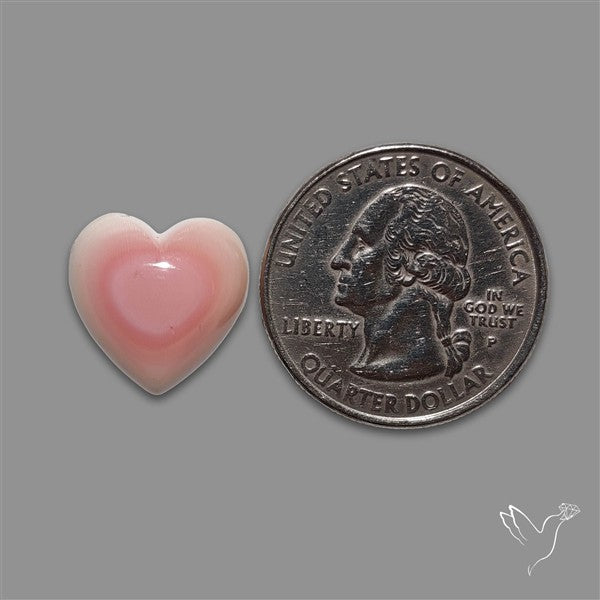 Pink Conch Shell Heart Cabochon