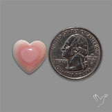 Pink Conch Shell Heart Cabochon