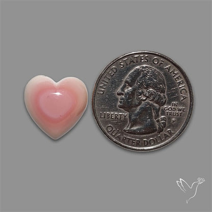 Pink Conch Shell Heart Cabochon