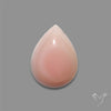 Pink Conch Shell Cabochon