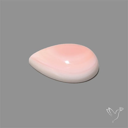 Pink Conch Shell Cabochon