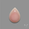 Pink Conch Shell Cabochon