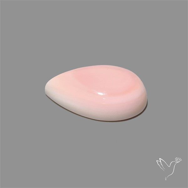 Pink Conch Shell Cabochon