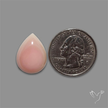 Pink Conch Shell Cabochon
