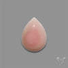 Pink Conch Shell Cabochon