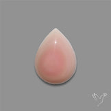 Pink Conch Shell Cabochon