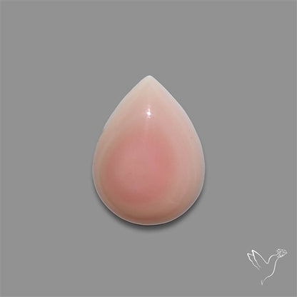Pink Conch Shell Cabochon