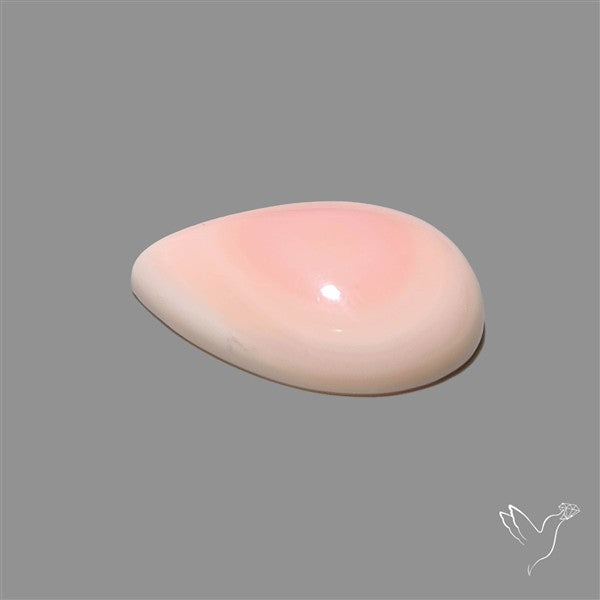 Pink Conch Shell Cabochon