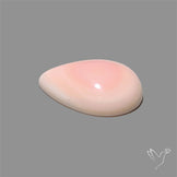 Pink Conch Shell Cabochon