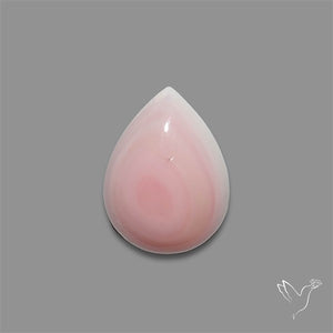Pink Conch Shell Cabochon