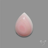 Pink Conch Shell Cabochon
