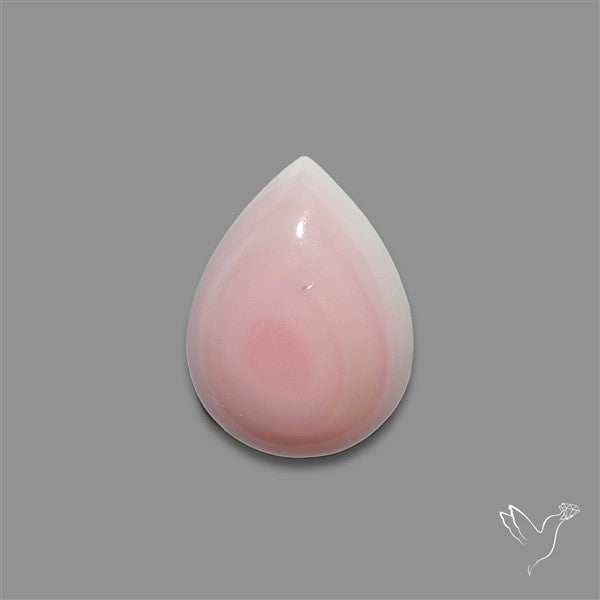 Pink Conch Shell Cabochon
