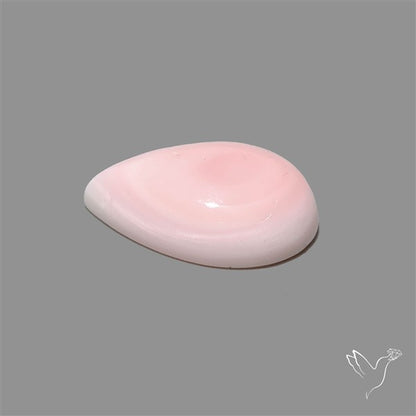 Pink Conch Shell Cabochon