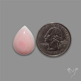 Pink Conch Shell Cabochon
