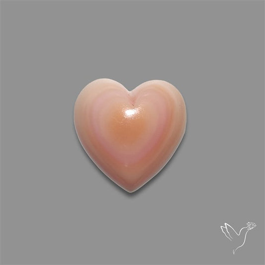 Pink Conch Shell Heart Cabochon