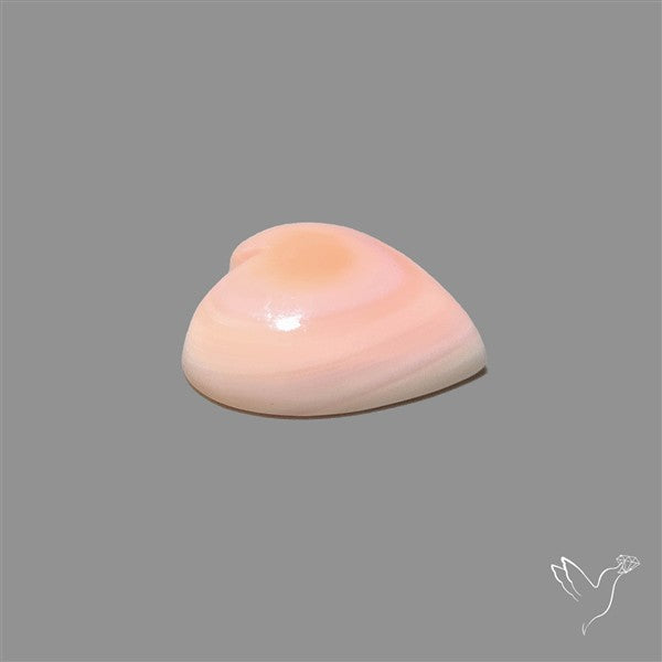 Pink Conch Shell Heart Cabochon