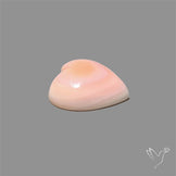 Pink Conch Shell Heart Cabochon