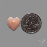 Pink Conch Shell Heart Cabochon